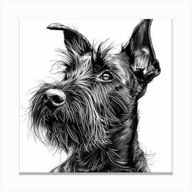 Cesky Terrier Dog Line Sketch 2 Canvas Print