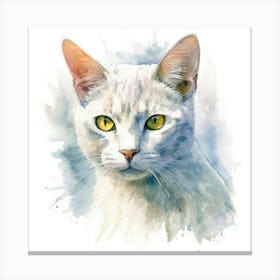 Burmilla Cat Portrait 1 Canvas Print