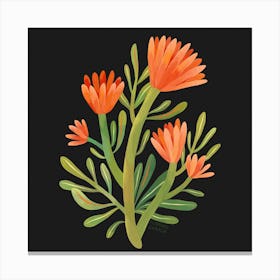 Orange Wildflower Square Canvas Print