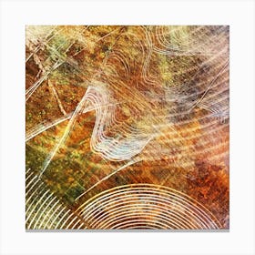 The golden sheen of a summer morning Canvas Print