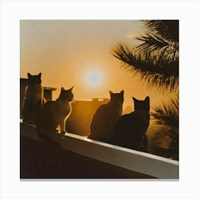 Pretty Sun over cats Canvas Print