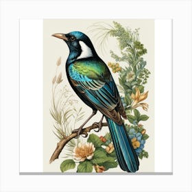 Tui Bird Canvas Print