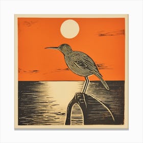 Retro Bird Lithograph Dunlin 4 Canvas Print