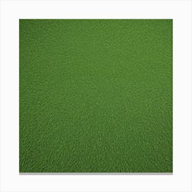 Green Grass Background 10 Canvas Print