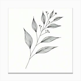 Drawing Of A Leaf Canvas Print