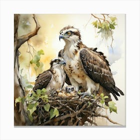 Osprey Nest 4 Canvas Print