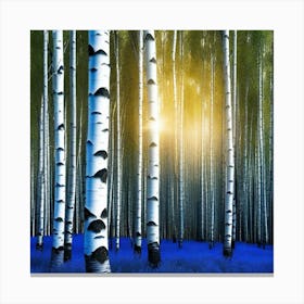 Birch Trees 64 Canvas Print