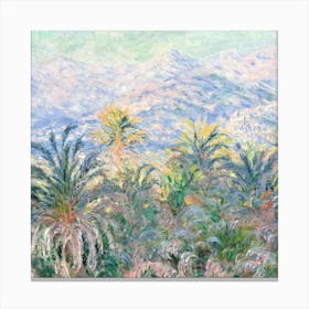 Claude Monet - Palm Trees Canvas Print