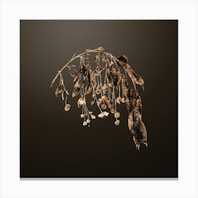 Gold Botanical Visciola Cherries on Chocolate Brown Canvas Print