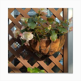 Hanging Basket Canvas Print