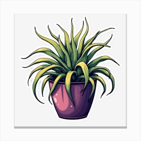 Air Plant Canvas Print