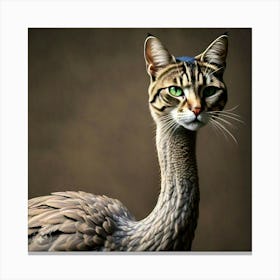 Ostrich bird with a Cat head Canvas Print