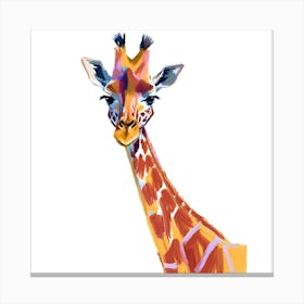 Southern Giraffe 03 Canvas Print