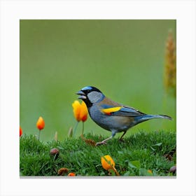 Bird In A Field Canvas Print