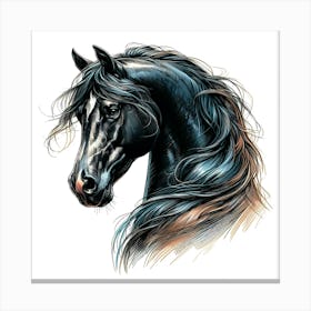 Dark Arabian Horse Head Drawing Canvas Print