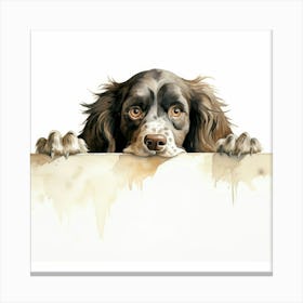 Spaniel Field 1 Canvas Print