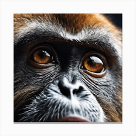 Close Up Of A Monkey 6 Canvas Print