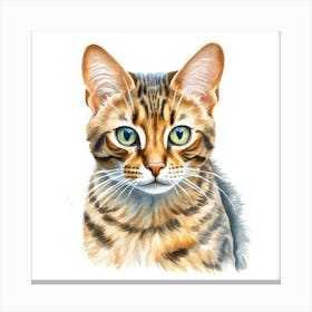 Cashmere Bengal Cat Portrait Canvas Print