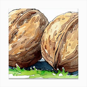 Walnuts Canvas Print