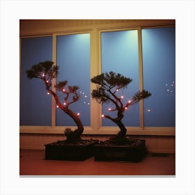 bonsai 1 Canvas Print