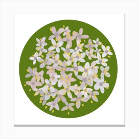  Green Circle with Flowers Canvas Print