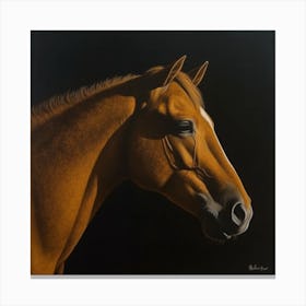 Horse Portrait Canvas Print