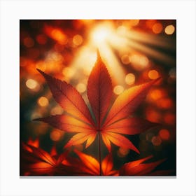 Autumn Leaves In The Sunlight Canvas Print