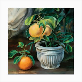 Oranges In A Pot 2 Canvas Print