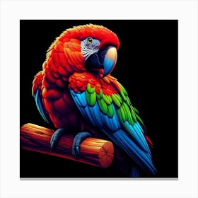 Parrot 3 Canvas Print