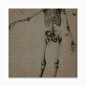 Human Skeleton Canvas Print