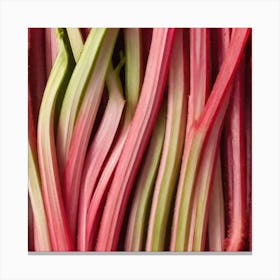 Rhubarb 21 Canvas Print