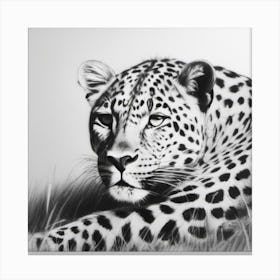 Leopard Canvas Print