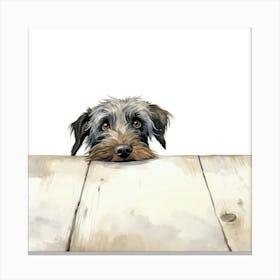 Schnauzer 26 Canvas Print