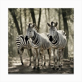 Zebras In The Forest Canvas Print