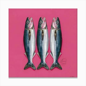 Sardines On Pink Art Illustration Painting Fashion Rljqgld2t4 Cjzy5uauudg Alufe4rlsey427tp1sn6gg Canvas Print