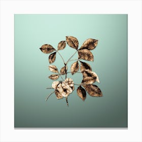 Gold Botanical Common Hoptree on Mint Green Canvas Print