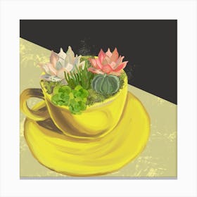 Cup Of Succulents Square Canvas Print
