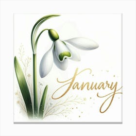 Snowdrop - January Birth Flower 1 Canvas Print