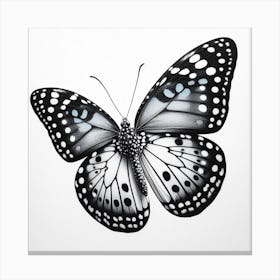 Butterfly Pencil Drawing I Canvas Print