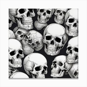 Skulls On Black Background 3 Canvas Print