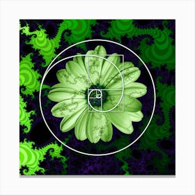 Sacred Geometry Fibonacci Spiral Flowers 1 Stampe su tela