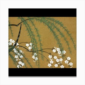 Sakura Blossoms 1 Canvas Print