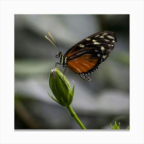 Butterfly On A Flower Canvas Print