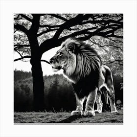 Lion In The Forest 4 Canvas Print