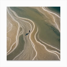 Sand And Waves Canvas Print