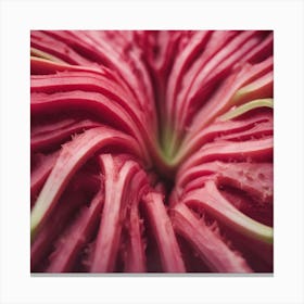 Close Up Of A Red Flower Canvas Print