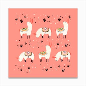 White Llamas In Pink Desert Canvas Print