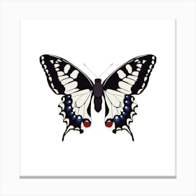 Swallowtail Butterfly Square Canvas Print