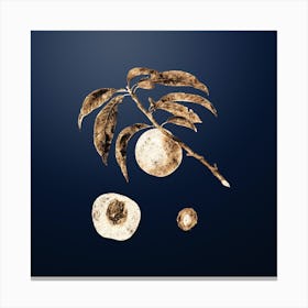 Gold Botanical White Speckled Peach on Midnight Navy n.2144 Canvas Print