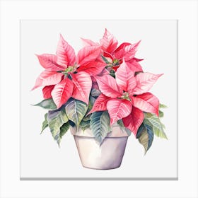 Poinsettia 16 Canvas Print